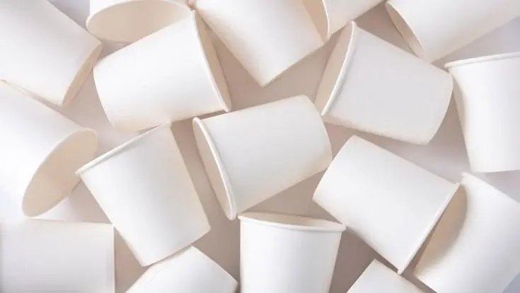 Why Custom Paper Cups Are Essential for Building Your Brand in 2025